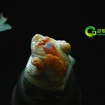 �����������ڼ�-ӡ��-���˵�ͷ