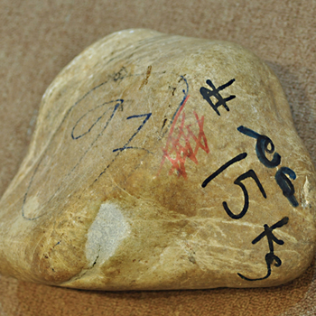 ���ë��RL1014