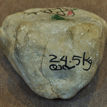 ���ë��RL1016