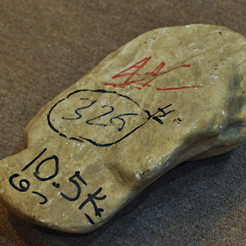 ���ë��RL1019